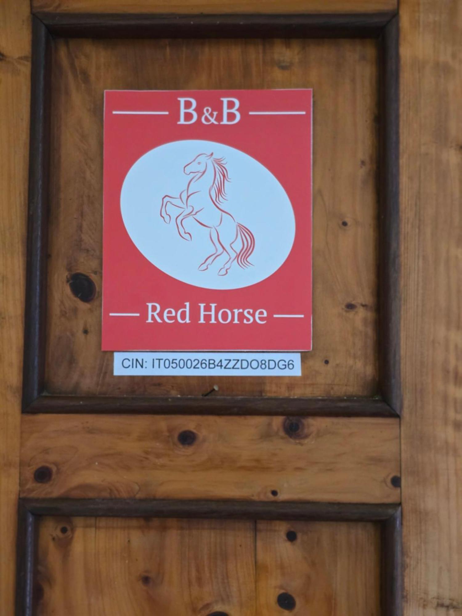 Red Horse Bed & Breakfast Pisa